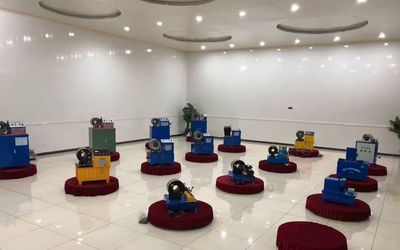 چین Shanghai Fanying Machinery Technology Co., Ltd. مشخصات شرکت